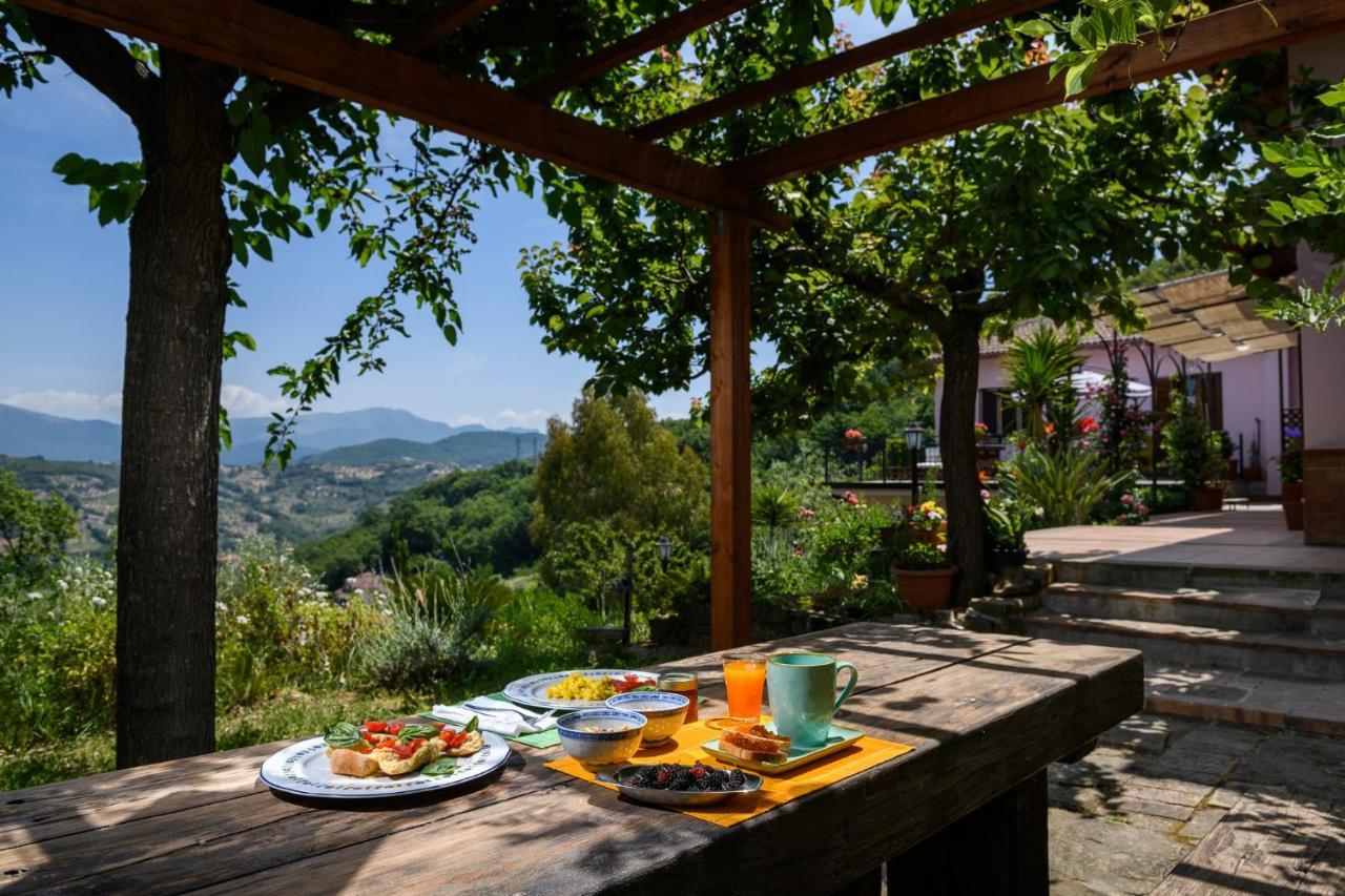 B&B Albachiara Casa Di Campagna Ogliastro Cilento Ngoại thất bức ảnh