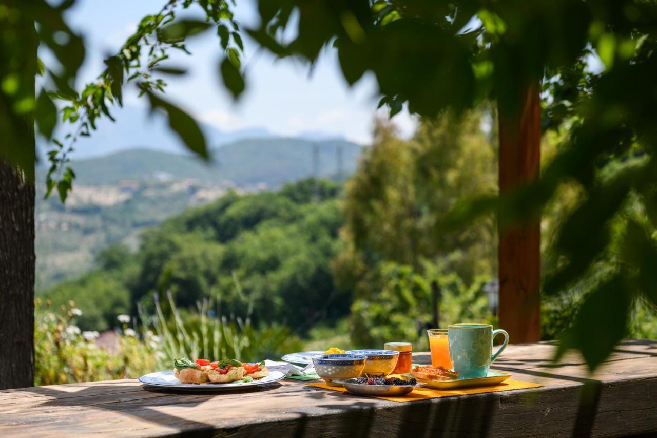 B&B Albachiara Casa Di Campagna Ogliastro Cilento Ngoại thất bức ảnh