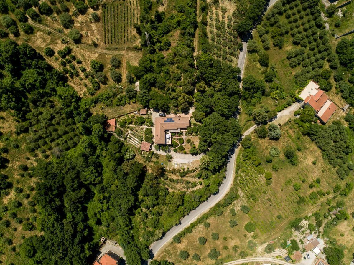 B&B Albachiara Casa Di Campagna Ogliastro Cilento Ngoại thất bức ảnh